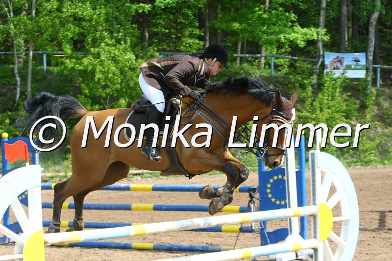 104M3300_Latina_Punkte L.JPG